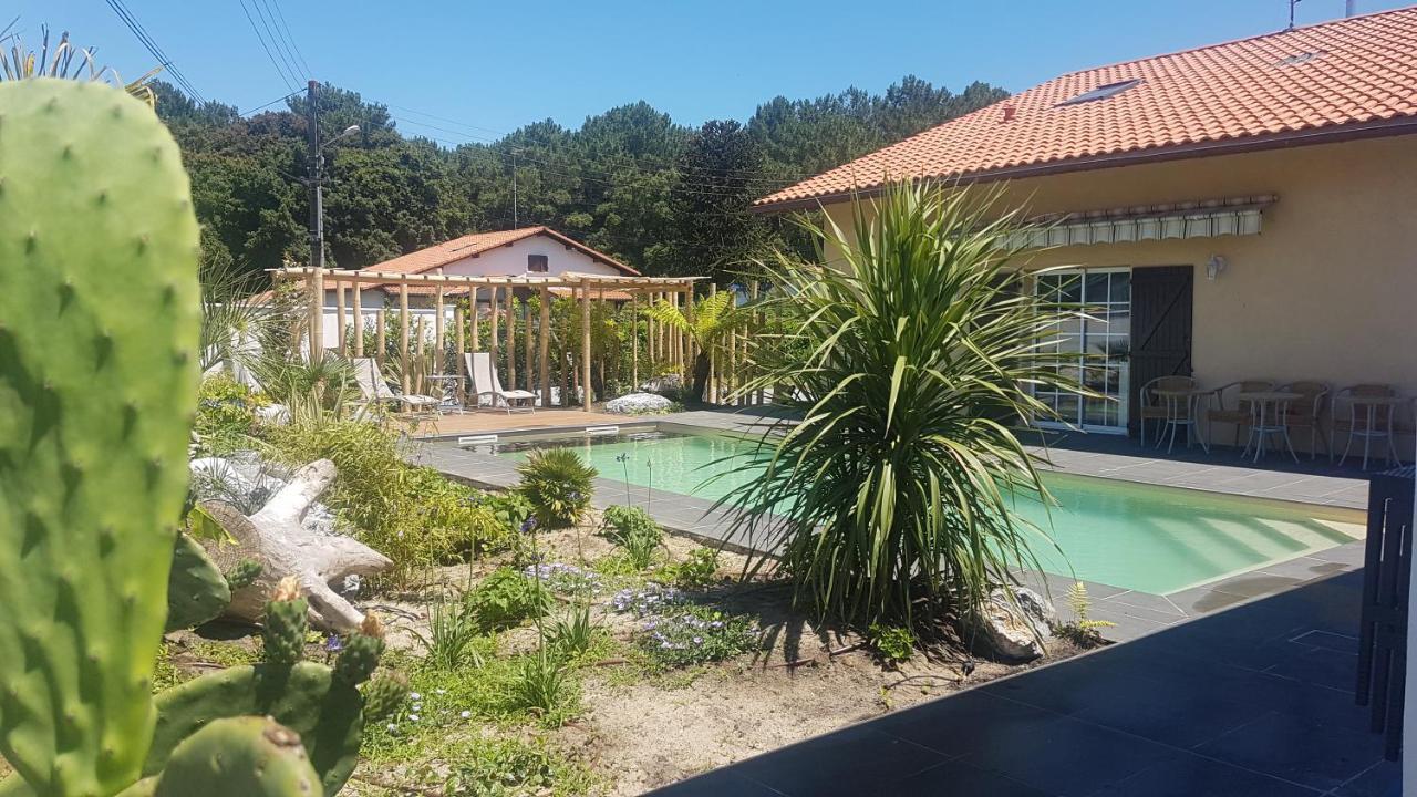 Chambre D'Hotes Avec Terrasse, Meuble Tourisme 1 Etoile Labenne Zewnętrze zdjęcie